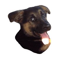 dog STICKER by imoji