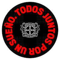Bayer 04 Logo Sticker by Bayer 04 Leverkusen