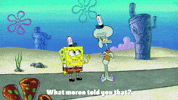 season 9 lost in bikini bottom GIF by SpongeBob SquarePants