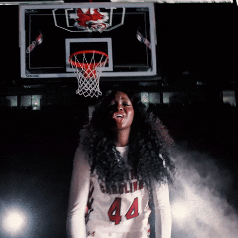 Womens Basketball Celebration GIF by Gamecock Athletics