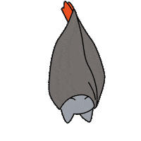 Vampire Bat Animation Sticker by Holler Studios