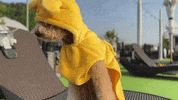 namu_______ 나무 namu GIF