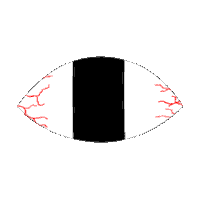 Crazy Eyes Sticker Sticker