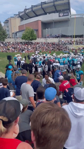 Brawl at Patriots-Panthers Football Practice