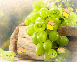 cat meme bbq barbecue freaky GIF