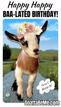 Happy Birthday GIF by Goatta Be Me Goats! Adventures of Java, Toffee, Pumpkin and Cookie!