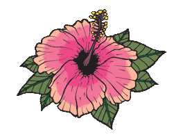 Koslik flower tropical hibiscus tropical flower Sticker