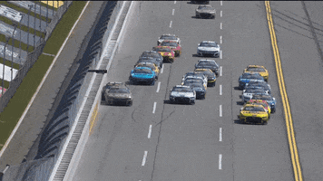 Kyle Busch Sport GIF by NASCAR