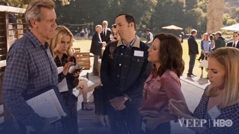 veephbo giphyupload hbo veep hugh laurie GIF