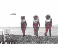 submission GIF by The Savannah .GIF Festival