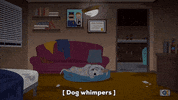 dog bed GIF by South Park 