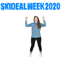 סקי Sticker by skideal