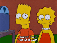 bart simpson episode 20 GIF