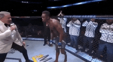 ufc sports sport ufc mma GIF