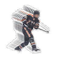 Hockey Nya Sticker by mccrystal