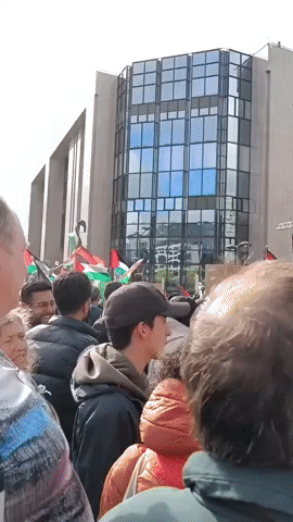 Protesters Rally in Brussels in Support of Gaza