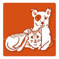 Bff Love GIF by BanfieldPetHospital