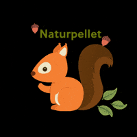 Naturpellet Pellet Ardilla GIF by Naturpellet