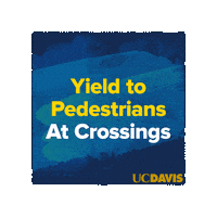 Bike Bicycle Sticker by UC Davis