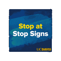 Bike Bicycle Sticker by UC Davis