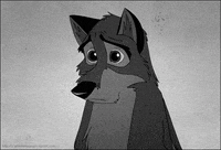 Dog Koreantagsorry GIF