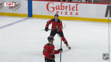 Happy Ottawa Senators GIF by NHL