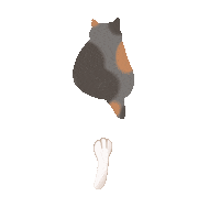 Cat Sticker