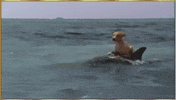Dog GIF