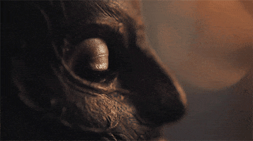 Magic Amc GIF by A Discovery of Witches