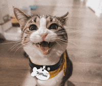 GIF by TechPixies