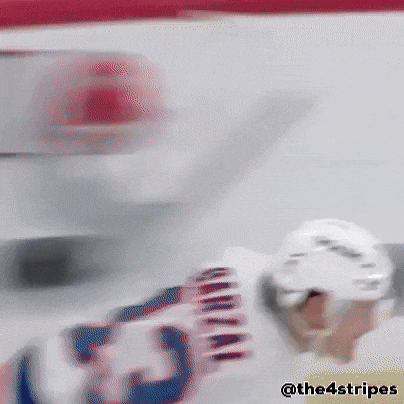 Goal Hockey GIF