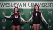 Iwuwvb24 GIF by iwusports