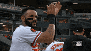 major league baseball sport GIF by MLB