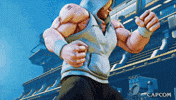 Shadowboxing Video Game GIF by CAPCOM