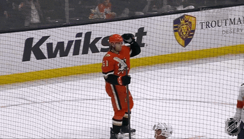 Happy Anaheim Ducks GIF by NHL