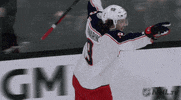 Ice Hockey Sport GIF by NHL