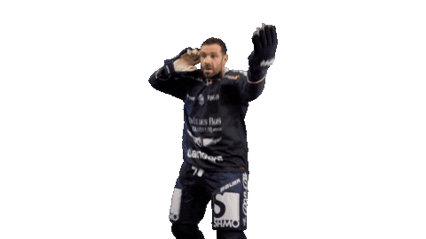Hockey Angers Sticker by Les Ducs d'Angers