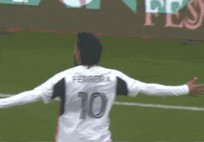 Happy Fc Dallas GIF by Major League Soccer