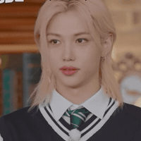Stray Kids Skz GIF