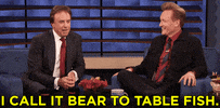 teamcoco kevin nealon GIF