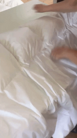 alinebrun giphygifmaker snuuz winterdecke GIF