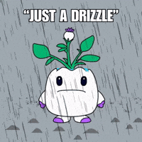 Raining Rainy Day GIF by Magic Eden