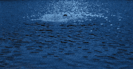 friday the 13th mrs. voorhees GIF by Alex Bedder