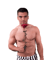 The Bachelorette Dating Sticker by RTLde