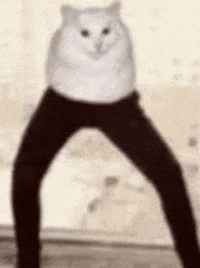 Cat Meow GIF
