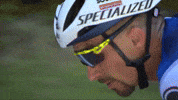 Cycling Cyclisme GIF by Amaury Sport Organisation