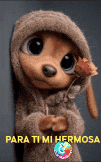 Rosa Amigos GIF by Murcianys LLC