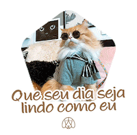 Budapets cat dog gato pets Sticker