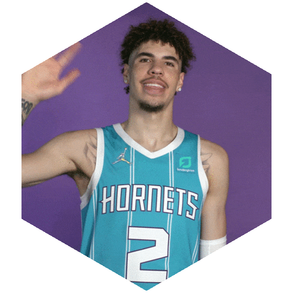 Happy Lamelo Ball Sticker by Charlotte Hornets