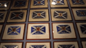 GIF by Rangers Football Club